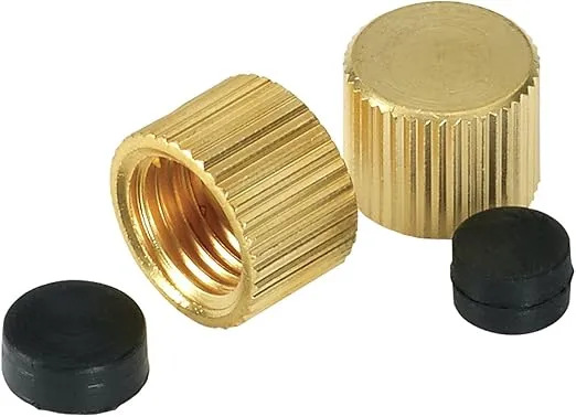 Homewerks VAC-CAP-W2B VACCAPW2B Waste Cap Replacement Part, 2-Pack, 5/16-Inch and 3/8-Inch
