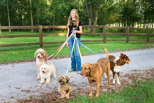 Country Brook Petz - American-Made Dog Collar for Large, Medium, and Small Dogs and Puppies - Deluxe Heavy Duty Nylon in 33 Dazzling Colors (Extra Large, 1 Inch Wide, Gold)