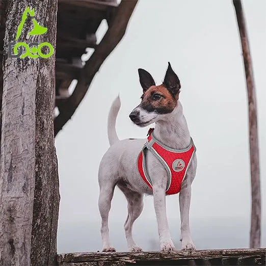 DOCO Dog Harness │ Athletica Puppy Harness for Small Dogs │ Heavy Duty No Choke Vest, Lightweight Reflective (Dogs Under 30 lbs) - Orange, X-Small