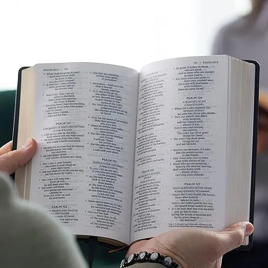 NRSV, Catholic Bible, Standard Personal Size, Leathersoft, Red, Comfort Print: Holy Bible