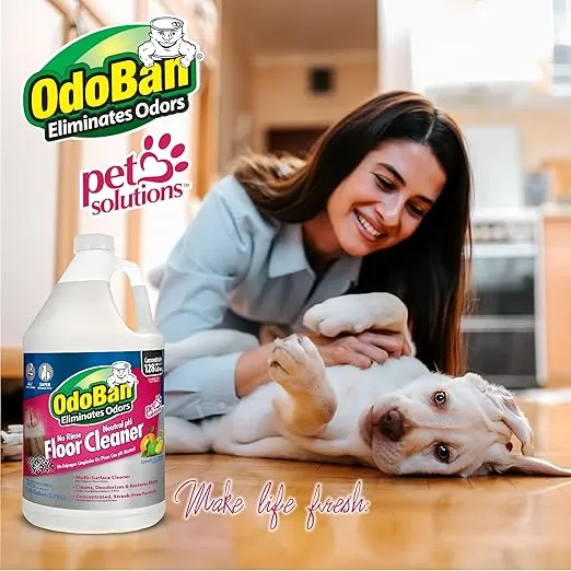 OdoBan Pet Solutions No Rinse Neutral pH Floor Cleaner Concentrate, 2 Gallons, Splash O' Citrus Scent