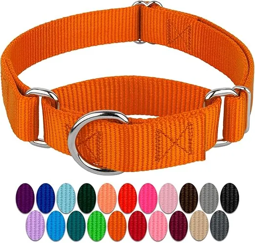 Country Brook Petz Martingale Dog Collar - Heavy-Duty Training Collar with No Buckle - Service Dog Collar for All Pups - Vibrant, Colorful Collection (Orange, 1 Inch, Medium)