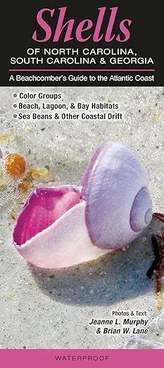 Shells of North Carolina, South Carolina & Georgia: A Beachcomber’s Guide to the Atlantic Coast (Common and Notable Species)