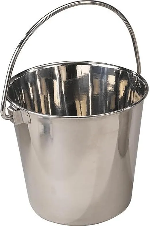 ProSelect Heavy Duty Stainless Steel Pails — Durable Pails for Kennels and Farms - 8", 4-Quart