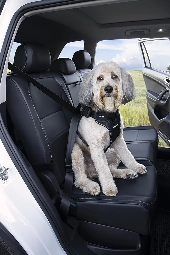Sherpa Crash-Tested Multipurpose Seatbelt Dog Harness - Black, Large