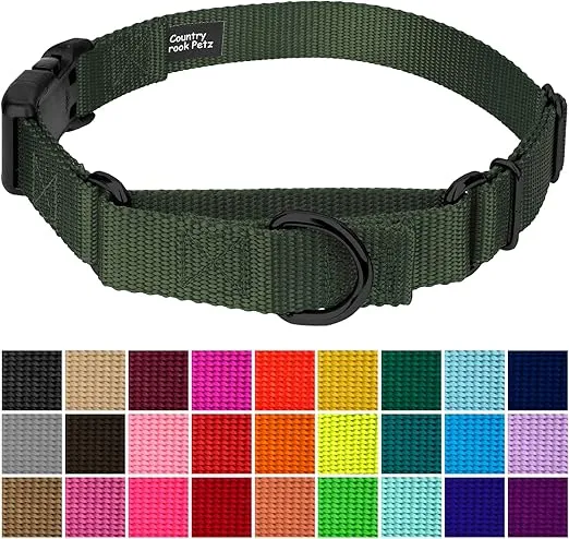 Country Brook Petz Heavy Duty Nylon Adjustable Martingale Dog Collar with Deluxe Buckle for Small Medium Large Breeds - 30+ Vibrant Color Options (1 Inch, Medium, Dark Olive Drab)