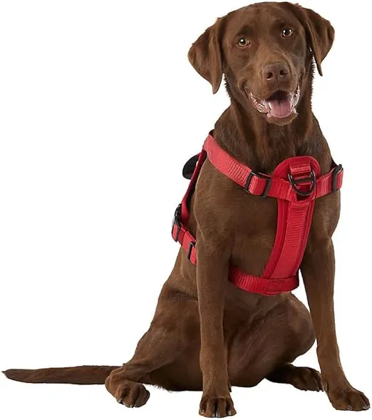 KONG Ultra Durable Waste Bag Harness (Medium, Red)