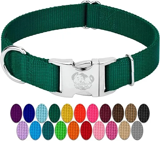 Country Brook Petz Premium Nylon Dog Collar with Metal Buckle for Small Medium Large Breeds - Vibrant 30+ Color Selection (Large, 1 Inch, Green)