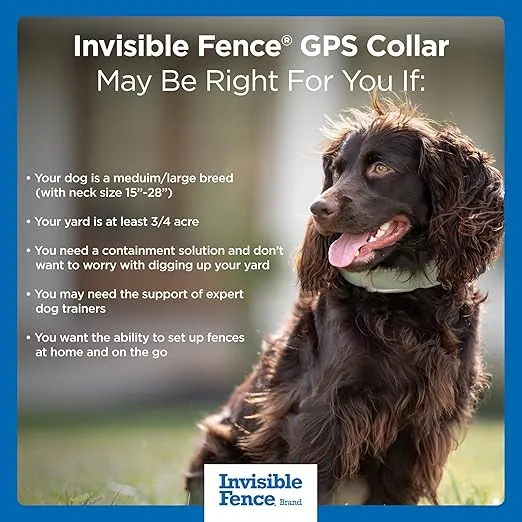 Invisible Fence GPS Dog Fence & Tracking Collar, Wireless Dog Fence & GPS Tracker, Create up to 20 Electric Fences, for Medium & Large Dogs with Neck Sizes 15"-28", Waterproof - Subscription Included