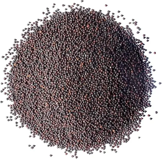 Food to Live Broccoli Seeds for Sprouting, 4 Ounces – Vegan, Kosher, Sirtfood, Bulk. Rich in Sulforaphane, Vitamin C, Vitamin A. Great for Growing Sprouts, Microgreens. High Germination Rate
