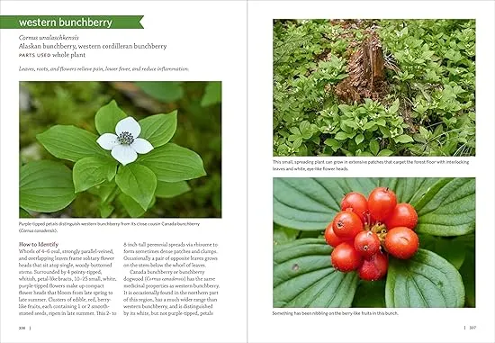 Pacific Northwest Medicinal Plants: Identify, Harvest, and Use 120 Wild Herbs for Health and Wellness (Medicinal Plants Series)