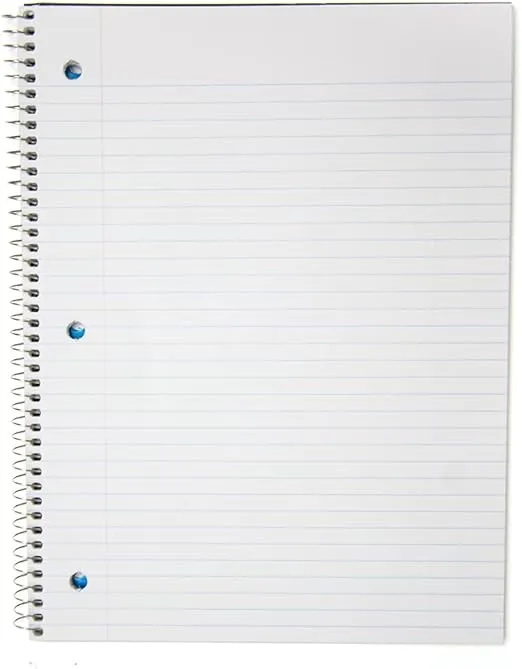 Top Flight Standards 5-Subject Wirebound Notebook, 200 Sheets, 3-Hole Punched, College Rule, 10.5 x 8 Inches, 1 Notebook, Color May Vary (31820)