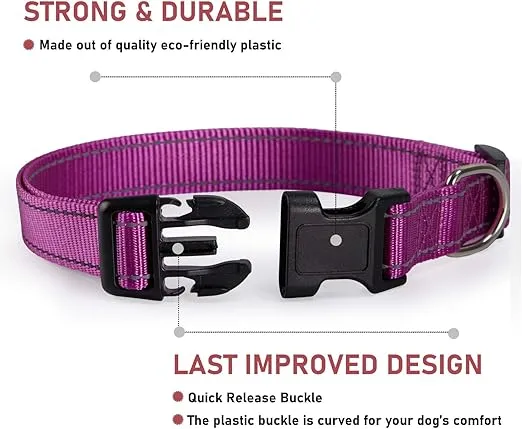 Reflective Dog Collar with Buckle Adjustable Safety Nylon Collars for Small Medium Large Dogs, Purple L