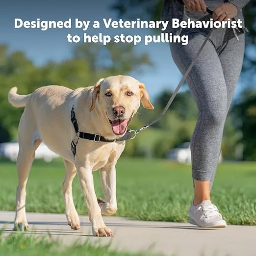 PetSafe Easy Walk No-Pull Dog Harness - The Ultimate Harness to Help Stop Pulling - Take Control & Teach Better Leash Manners - Helps Prevent Pets Pulling on Walks, Small, Red/Black