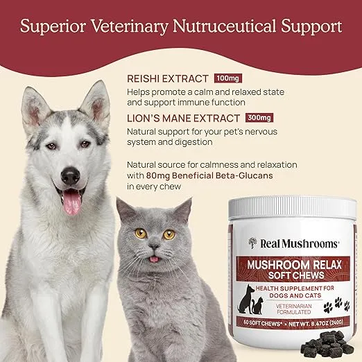 Real Mushrooms Calming Chews for Dogs - Cat & Dog Calming Treats w Reishi & Lion's Mane, Calming Treats for Dogs, Calming Chews for Relaxation, Calming Bites for Pet, Calming Cat Treats - 60ct