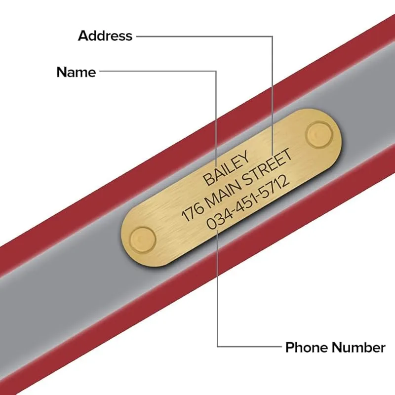 Regal Dog Products Large Red Reflective Dog Collar with Custom Engraved Name Plate and Heavy Duty Center Ring | Waterproof Biothane Personalized Dog Collars - Other Sizes for Small & Medium Dogs
