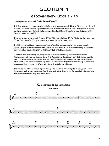 Blues Licks You Can Use