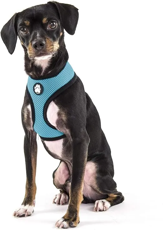 Furhaven Adjustable Padded Mesh Dog Harness - Lagoon Blue, Small