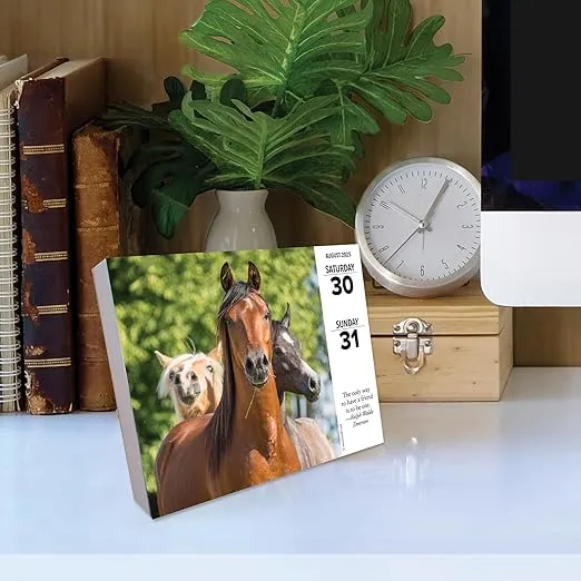 Willow Creek Press What Horses Teach Us Daily 2025 Box/Desk Calendar (5.86" x 4.72")