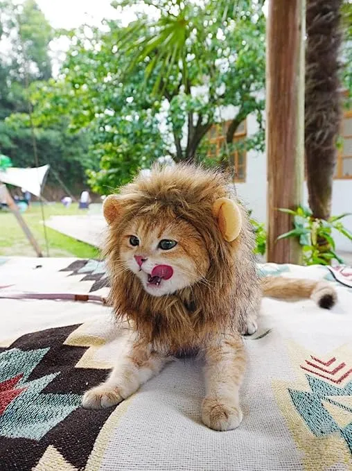 Lion Mane Wig for Cat Costume Pet Adjustable Washable Comfortable Fancy Lion Hair Cat Clothes Dress for Halloween Christmas Easter Festival Party Activity (Small, Brown)