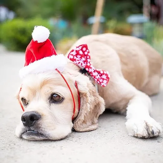 Huxley & Kent Pet Hat | Santa (Extra-Large) | Fun Christmas Holiday Hat for Dogs/Cats | Cute, Comfortable and Fun | SnugFit Strings for Best Fit