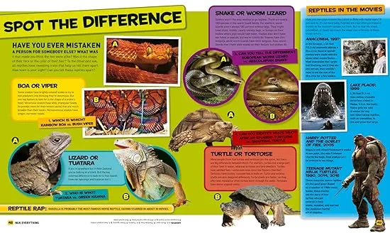 National Geographic Kids Everything Reptiles: Snap Up All the Photos, Facts, and Fun