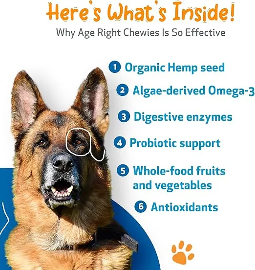 Pet Wellbeing Age Right Chewies for Dogs in their Prime & Senior Years - Daily Multifunctional, Support for Joint Mobility, Immune & Heart Health, Energy Levels - Veterinarian-Formulated 90 Soft Chews