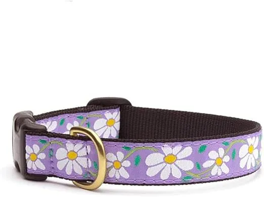 Up Country Daisy Dog Collar, X-Large (18 to 24 inches) 1 inch Wide Width