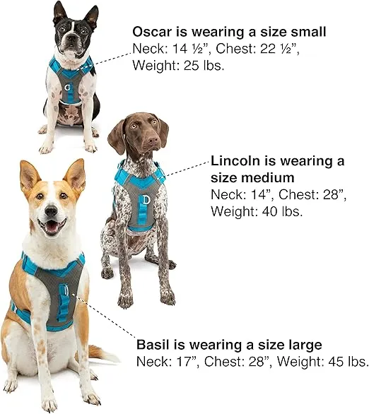 Kurgo Journey Air Dog Harness, Vest Harnesses for Dogs, Pet Hiking Harness for Running & Walking, Reflective, Padded, Includes Control Handle, No Pull Front Clip (Orange, Small)