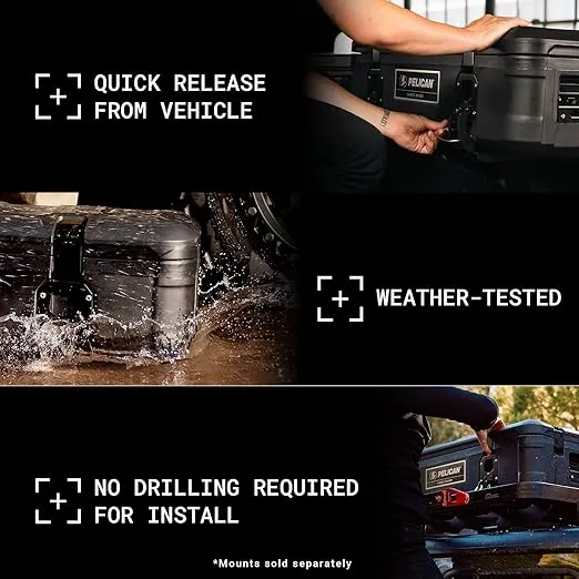 Pelican Cargo Cases