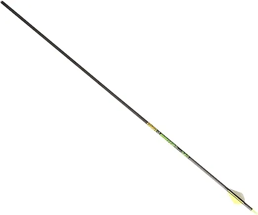 Gold Tip Hunter XT Arrows with Raptor Vane (Pack of 6)