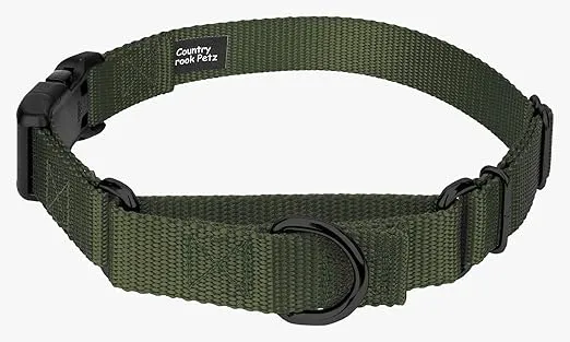 Country Brook Petz Heavy Duty Nylon Adjustable Martingale Dog Collar with Deluxe Buckle for Small Medium Large Breeds - 30+ Vibrant Color Options (1 Inch, Large, Dark Olive Drab)