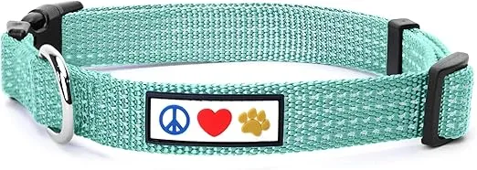 Pawtitas Reflective Dog Collar Adjustable Dog Collars for Small Dogs Puppy Collar Small Dog Collar Teal Dog Collar