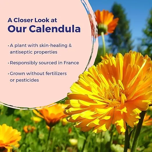 Boiron Calendula Burn Ointment for Relief from Minor Burns from Cooking, Friction, or Sunburns - 1 oz