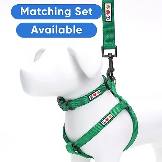 Pawtitas Dog Collar, Adjustable, Heavy Duty, Waterproof, Quick-Release Buckle, Lush Green, Extra Small Breeds
