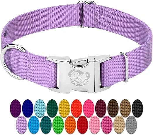 Country Brook Petz Premium Nylon Dog Collar with Metal Buckle for Small Medium Large Breeds - Vibrant 30+ Color Selection (Medium, 3/4 Inch, Lavender)