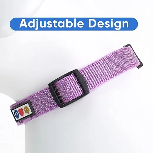 Pawtitas Reflective Dog Collar Adjustable Dog Collars for Small Dogs Puppy Collar Small Dog Collar Orchid Purple Dog Collar