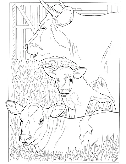 Baby Animals Coloring Book (Dover Coloring Books)