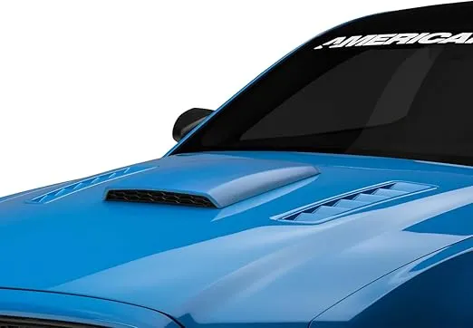 Hood Scoop; Unpainted Compatible for 05-14 Mustang GT, V6