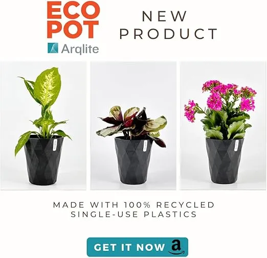 Arqlite Smart Gravel | Eco-Friendly Plant Drainage for Healthy Roots | Pots & Raised Garden Beds | Yard and Pot Decoration | Lightweight & Clean (1-Gal Regular Size)