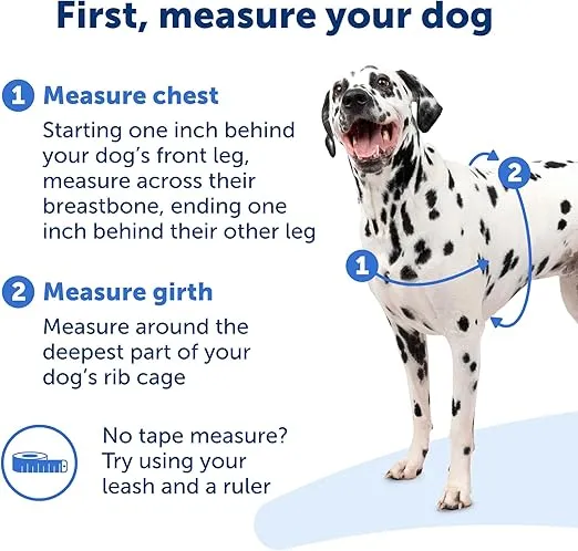 PetSafe Easy Walk Deluxe Dog Harness, No Pull Dog Harness – Perfect for Leash & Harness Training – Stops Pets from Pulling and Choking on Walks – Small, Rose