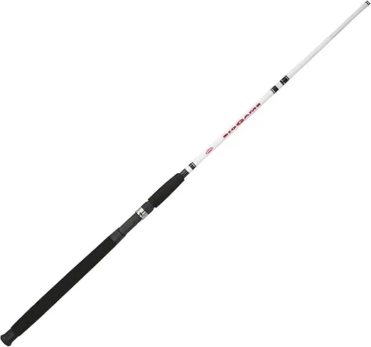 Berkley Big Game Casting Fishing Rod
