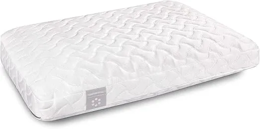 Tempur Pedic TEMPUR Cloud Pillow, 1 Count (Pack of 1)