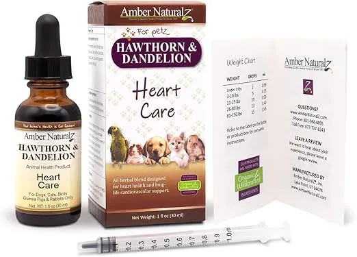 Amber NaturalZ Hawthorn and Dandelion Herbal Supplement for Dogs, Cats, Birds, Guinea Pigs, and Rabbits | Pet Herbal Supplement for Heart Care | 1 Fluid Ounce Glass Bottle | Manufactured in The USA