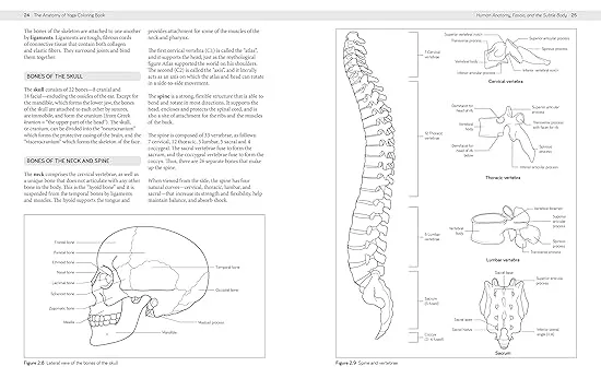 The Anatomy of Yoga Coloring Book: Learn the Form and Biomechanics of More than 50 Asanas