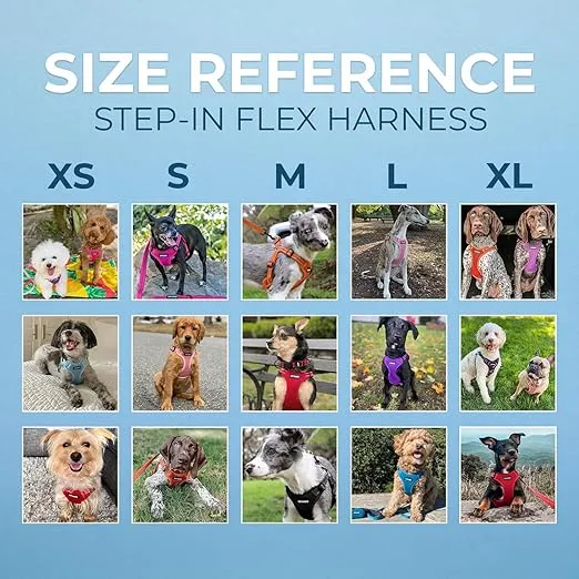 Best Pet Supplies Voyager Adjustable Dog Vest Harness Breathable No Pull Harness for Small, Medium, Large Dogs, Heavy Duty Harness for Walking, Jogging, Easy Step-in, Reflective Stripes - (Pink), L