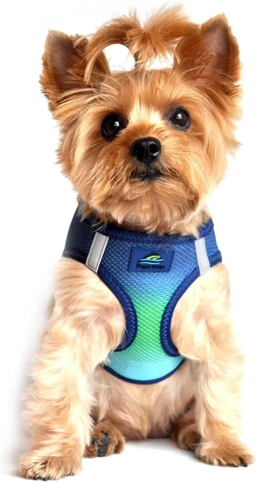 DOGGIE DESIGN American River Dog Harness Ombre Collection - Northern Lights S