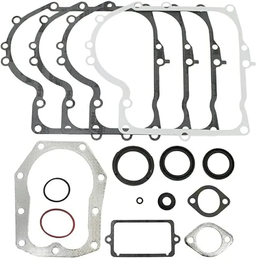 Briggs & Stratton 494241 Engine Gasket Set Replaces 490525