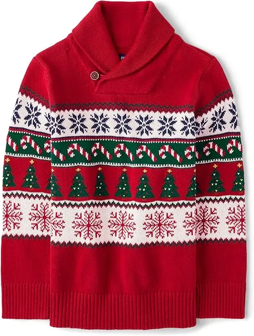 The Children's Place Big Boys' Kid Long Sleeve Sweater
