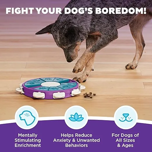 Outward Hound Nina Ottosson Dog Twister Dog Puzzle Interactive Treat Puzzle Dog Enrichment Dog Toy, Level 3 Advanced, Purple
